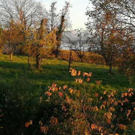 Haus Meersburg Garten Buitenkant foto