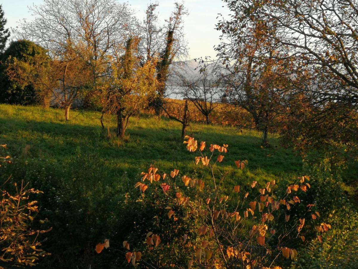 Haus Meersburg Garten Buitenkant foto