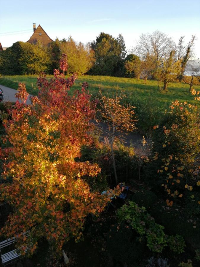 Haus Meersburg Garten Buitenkant foto