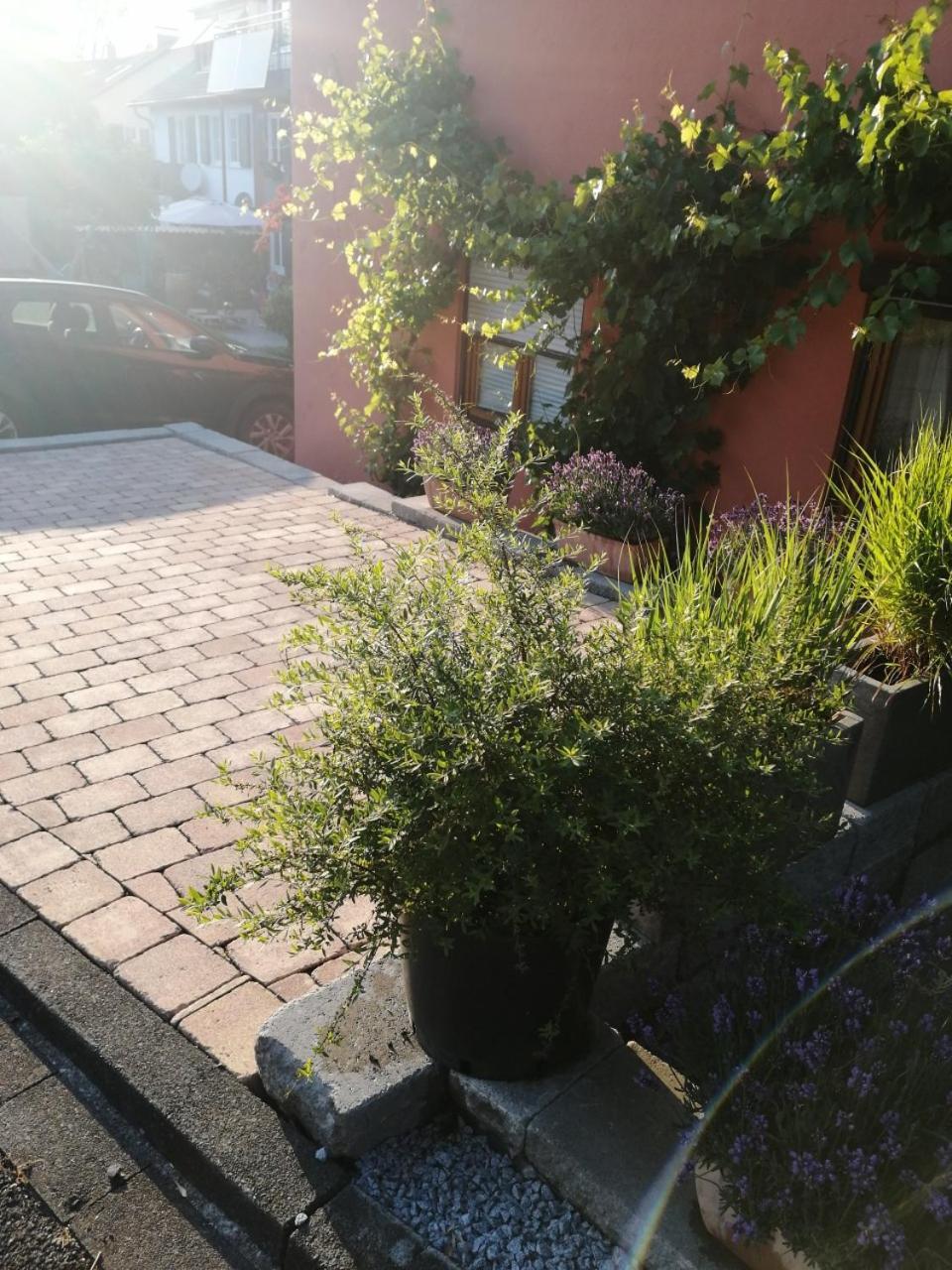 Haus Meersburg Garten Buitenkant foto