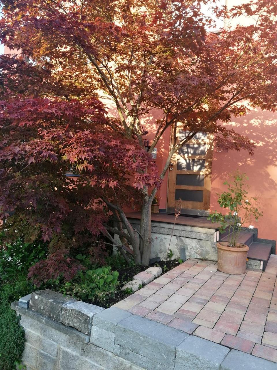 Haus Meersburg Garten Buitenkant foto