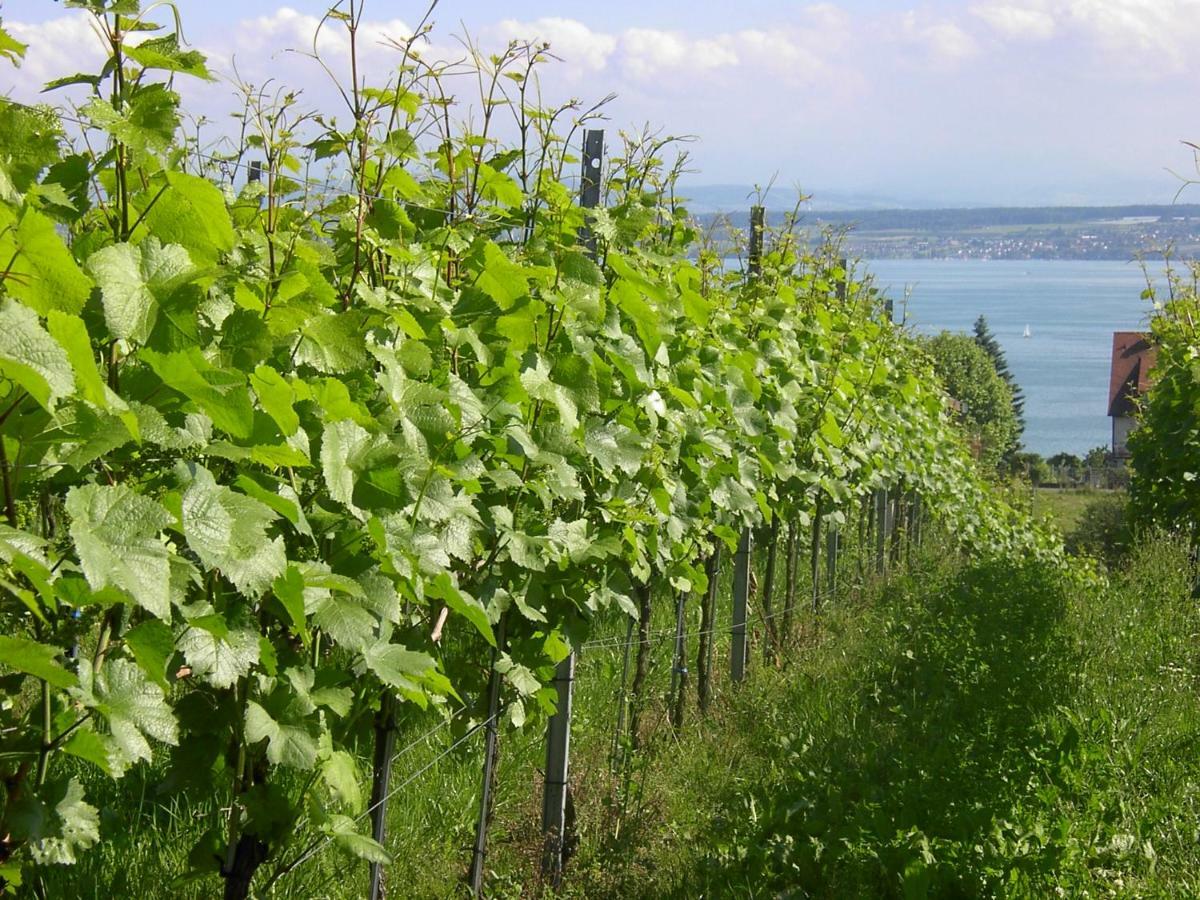 Haus Meersburg Garten Buitenkant foto