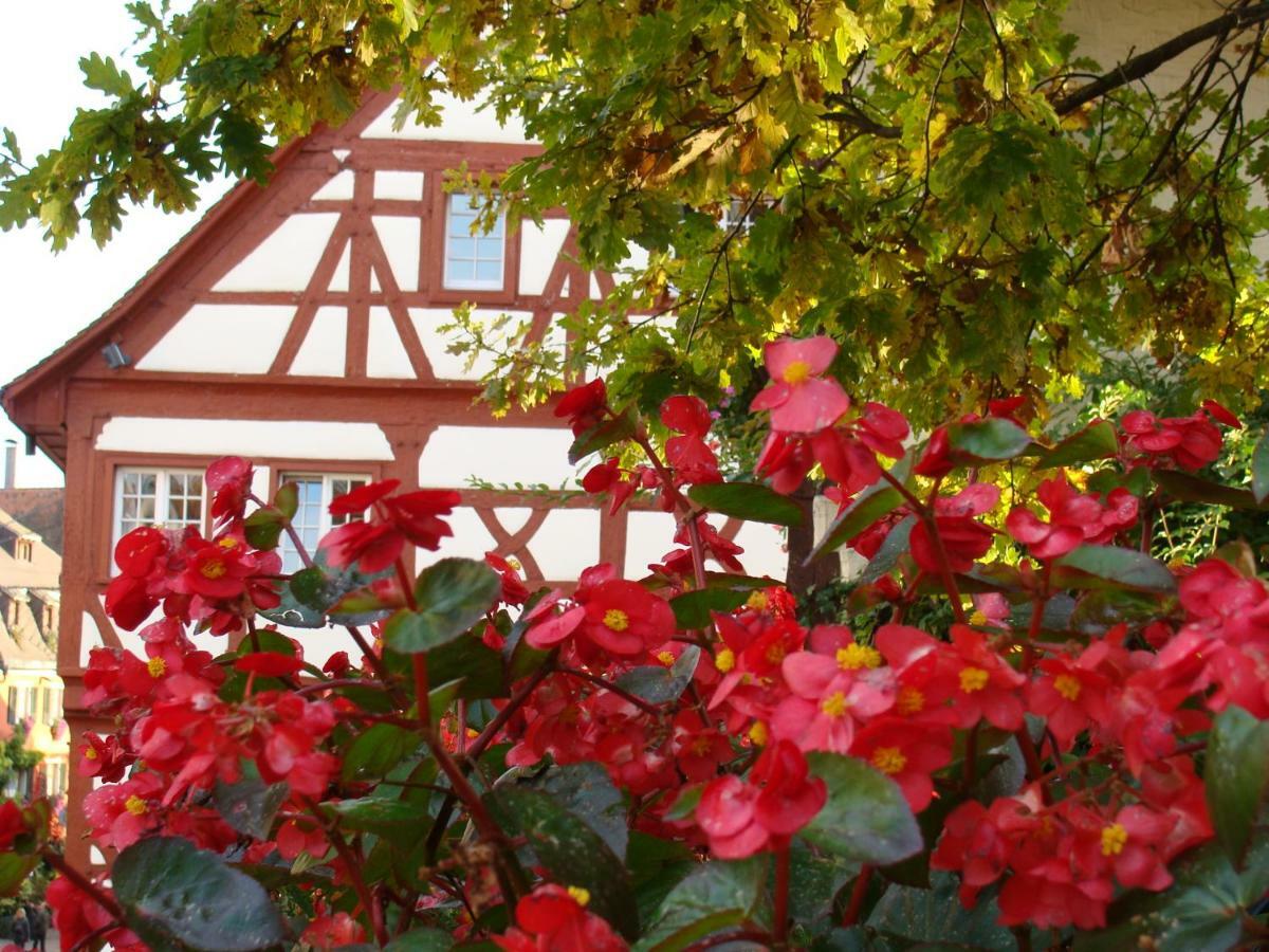 Haus Meersburg Garten Buitenkant foto